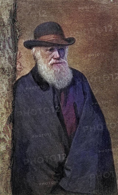 Charles Darwin, 1809, 1882, British naturalist. After a photograph (1881) by Mr Elliott and Mr Fry, Historic, digitally restored reproduction from a 19th century original, Record date not stated