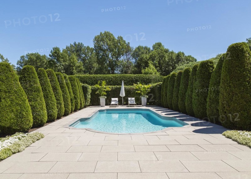 In-ground swimming pool and lounge chairs with parasol, planters bordered by rows of Thuja occidentallis, cedar trees and hedge in luxurious residential backyard, Quebec, Canada, North America
