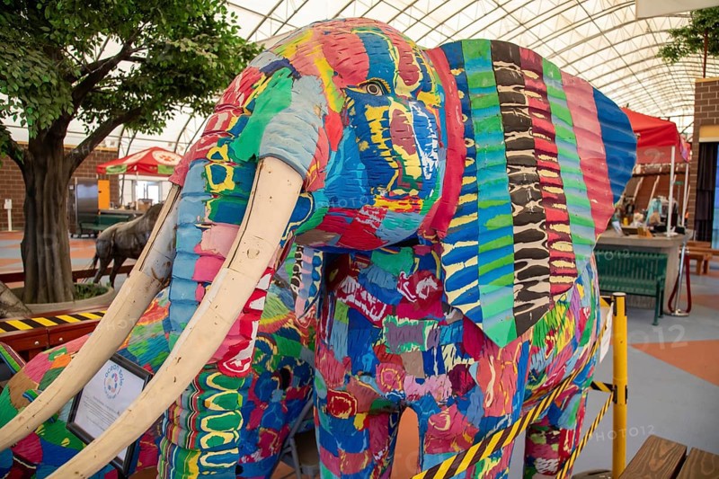 Keenesburg, Colorado, A painted elephant in the Welcome Center at the Wild Animal Sanctuary, a nonprofit that rescues animals that have been abused or held illegally. An elevated walkway allows visitors to explore view some of the lions, tigers, bears, wolves, and other large carnivores