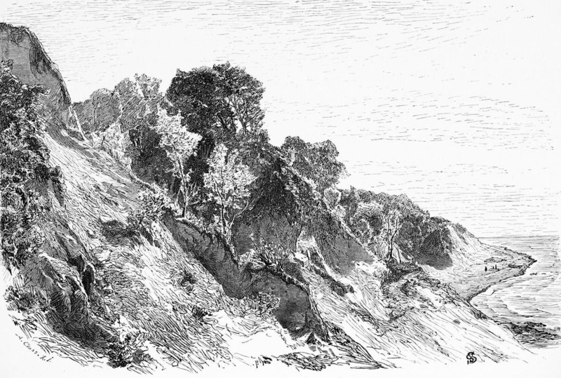 Lesnoye or Warnicken, Svetlogorsk municipal district, Kaliningrad oblast, Baltic Sea, Russia, steep coast, erosion, rugged, trees, historical illustration 1880, Europe