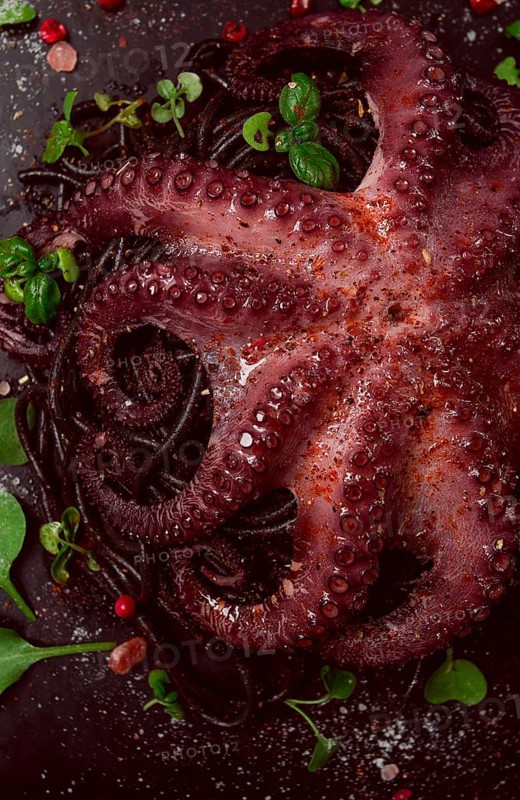 Octopus with black spaghetti, pasta, spices and herbs, top view, no people