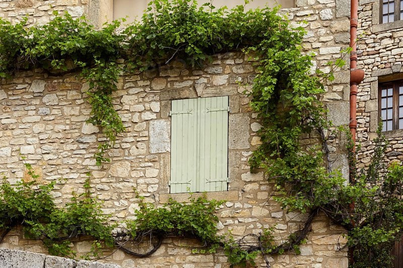 Facade of an old house with shutters and vines (Vitis) growing on the natural stone wall in La Roque-sur-Cèze, Département Gard, Occitania region, France, Europe