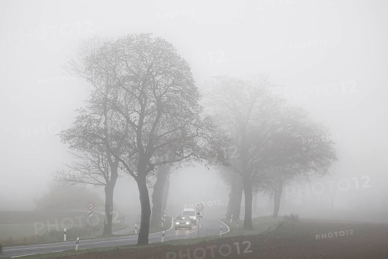 Cars driving with their lights on in dense fog on a country road overgrown with trees, Neugarten, Brandenburg, 06.11.2024, Neugarten, Brandenburg, Germany, Europe