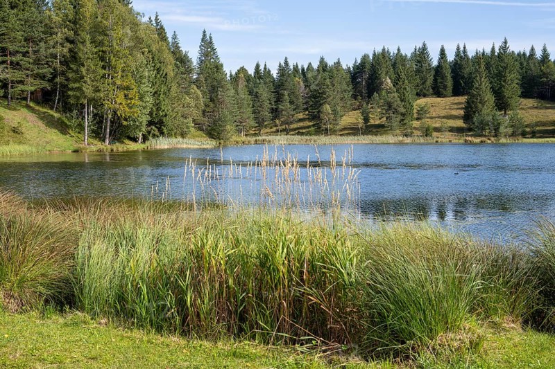 Wildensee am Kranzberg, Mittenwald, Werdenfelser Land, Upper Bavaria, Bavaria, Germany, Europe