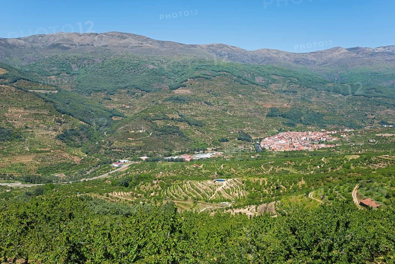 A green valley with a village and terraced hills in the background, Cabezuela del Valle, Valle del Jerte, Jerte Valley, Cáceres, Caceres, Extremadura, Spain, Europe