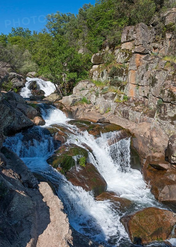 Wild-looking waterfall over rocks and surrounded by forest, dynamic water movement, Cascada del Diablo, Devil's Waterfall, Garganta de Gualtaminos, Gualtaminos Gorge, La Vera, Cáceres, Caceres, Extremadura, Spain, Europe
