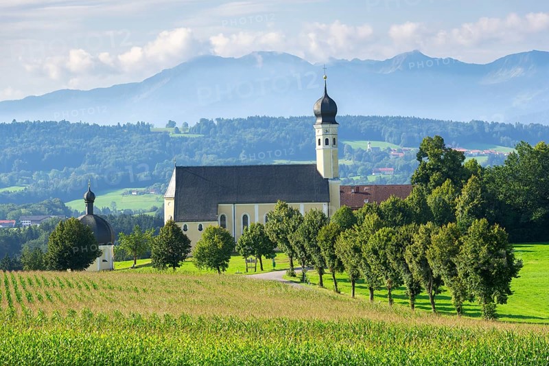 Pilgrimage church of St Marinus and Anian in Wilparting, cornfield, avenue, municipality of Irschenberg, Oberland, Upper Bavaria, Bavaria, Germany, Europe