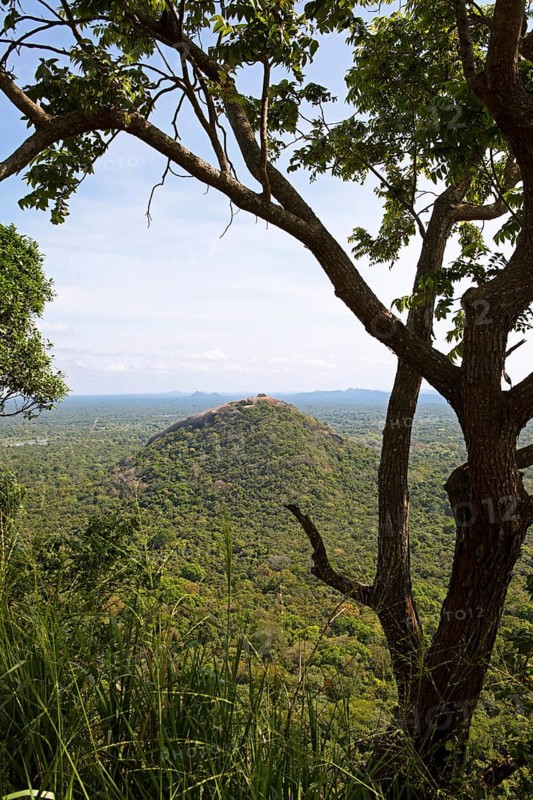 View of the jungle landscape from the Lion Rock, ruined city of Sigiriya, Central Province, Sri Lanka, Asia