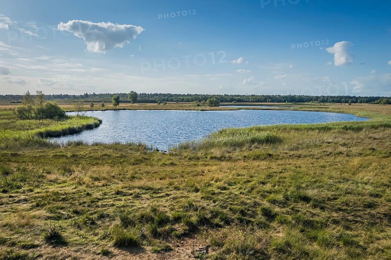 Gildehauser Venn nature reserve, pond, nature, landscape, recreation, tranquillity, view, Gildehaus, Germany, Europe