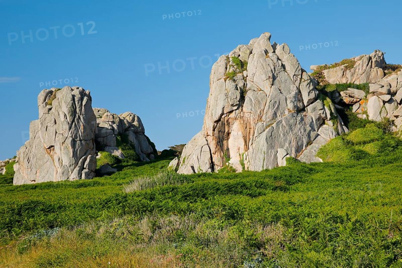 Striking boulders surrounded by ferns on the Pink Granite Coast in Brittany, France, Europe