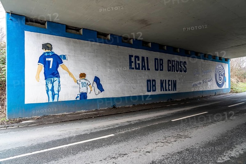 Wall murals, fan paintings of the Bundesliga club FC Schalke 04, at the Schalke stadium, Veltins Arena, road tunnel, in Gelsenkirchen, North Rhine-Westphalia, Germany, Europe
