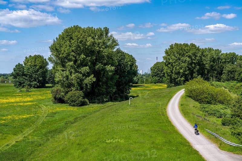 Rhine meadows near Duisburg-Beeckerwerth, footpath, cycle path on the Rhine dyke, North Rhine-Westphalia, Germany, Europe
