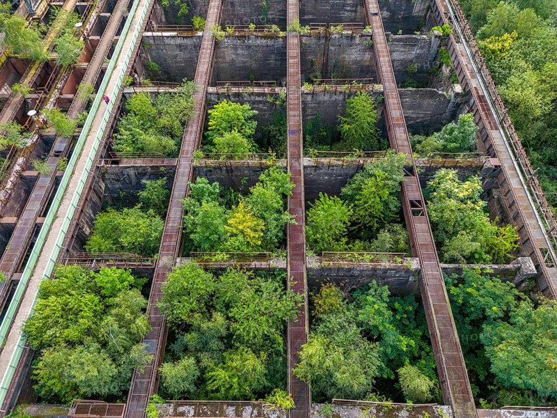 Duisburg-Nord Landscape Park, former Thyssen steelworks, closed in 1985, since then trees have been growing in the former Möller bunkers, ore bunkers, storage bunkers for feeding the blast furnaces with various materials such as ore, coke, additives, accessible via the bunker footbridge, North Rhine-Westphalia, Germany, Europe