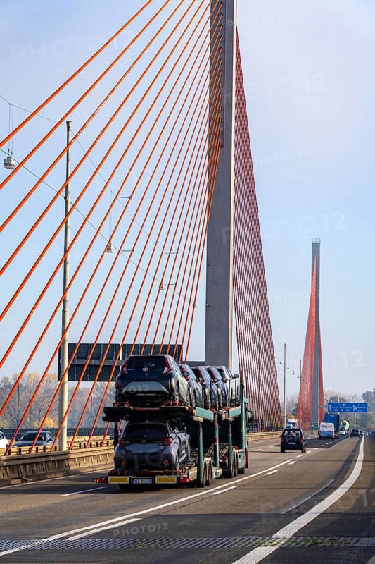 Friedrich Ebert Bridge over the Rhine near Bonn, also known as the North Bridge, motorway bridge on the A565, cable-stayed bridge, North Rhine-Westphalia, Germany, Europe