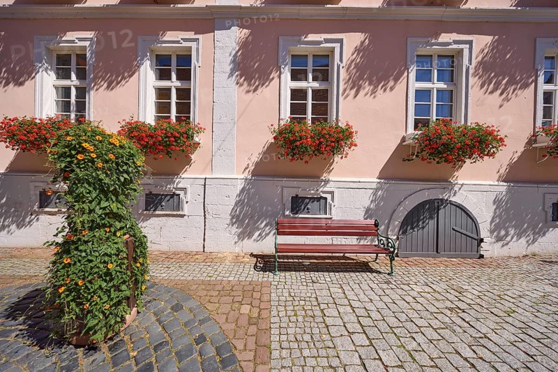Facade of a house with windows and flower boxes with blooming geraniums, bench, planter with a Black-eyed Susan vine (Thunbergie) and cellar hatch in the city centre of Michelstadt, Odenwald, Odenwaldkreis, Hesse, Germany, Europe