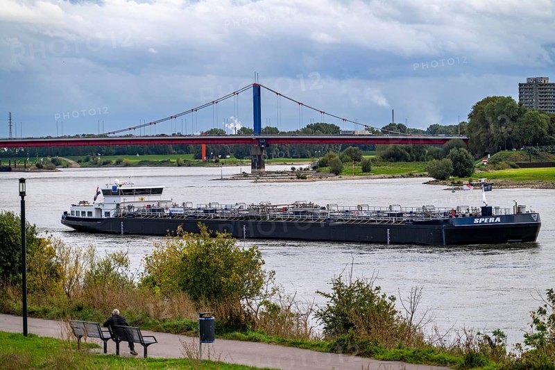Cargo ship, tanker, on the Rhine near Duisburg, behind the Friedrich-Ebert-Bridge, riverside path on the Rhine dyke near Duisburg Laar, North Rhine-Westphalia, Germany, Europe