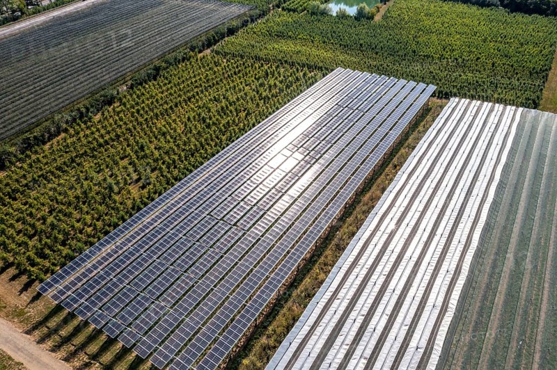 Agri-photovoltaic test plant, an apple orchard with two different systems of PV modules was roofed over 3000 square metres, rain and sunlight comes through, at the same time protection against hail and heavy rain, next to it are the same trees but without a solar roof, as a comparison object, how the PV roof affects the trees and harvest, the field test is accompanied by the Fraunhofer Institute for Solar Energy Systems ISE, in Grafschaft-Gelsdorf, Rhineland-Palatinate, Germany, Europe
