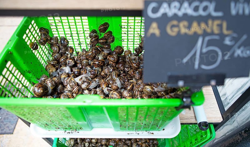 Snails for sale in the historic centre of Burgos, province of Burgos, Castile and Leon, Spain, Europe