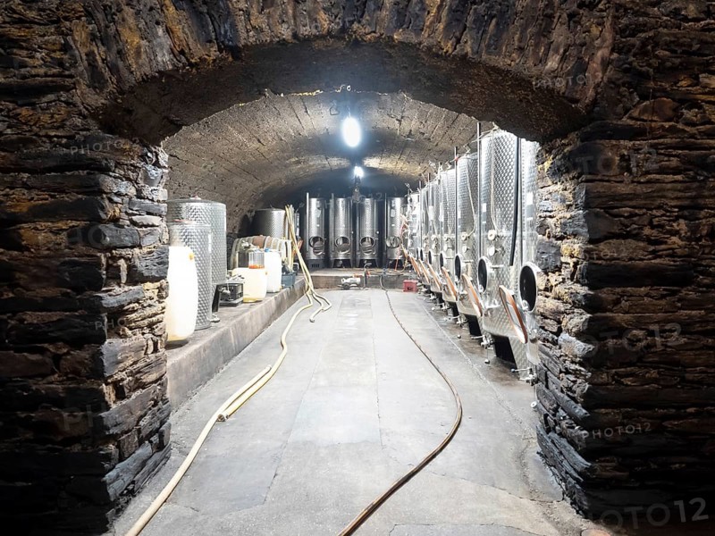 Stainless steel wine barrels in the wine cellar at the winery for fermenting Riesling wines, Bernkastel-Kues, Moselle, Rhineland-Palatinate