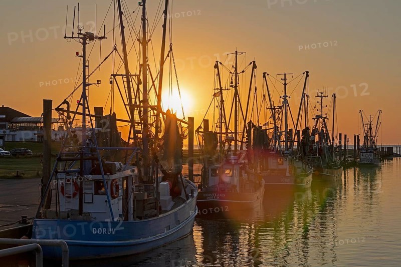Sunset, shrimp cutter in the harbour, Dorum-Neufeld, Wurster Land, Lower Saxony, Germany, Europe