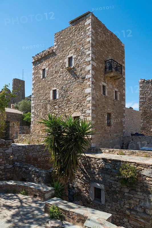 Historic stone village building with plants in the foreground, residential towers, Vathia, Ithylo, Anatoliki Mani, Mani, Laconia, Peloponnese, Greece, Europe