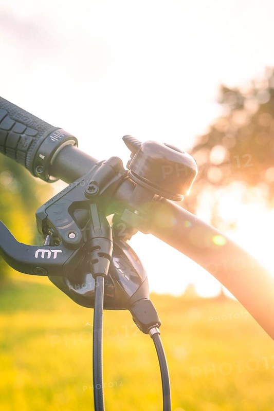Bicycle handlebars with bell and sunbeams in the sunset, forest bike, e-bike, Calw, Black Forest, Germany, Europe