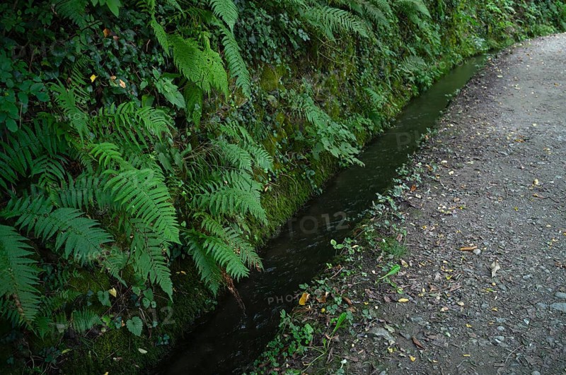 Hiking trail, Schenner Waalweg, Neuwaal, stream, long exposure, Schenna, Scena, South Tyrol, Autonomous Province of Bolzano, Italy, Europe