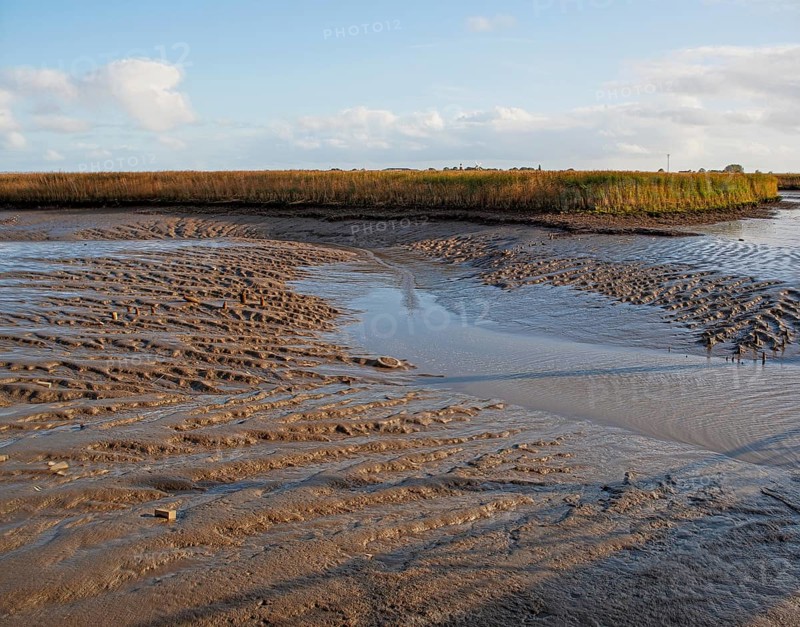 Low water, Ems, silt inflow, boat harbour, Petkum, East Frisia, Germany, Europe