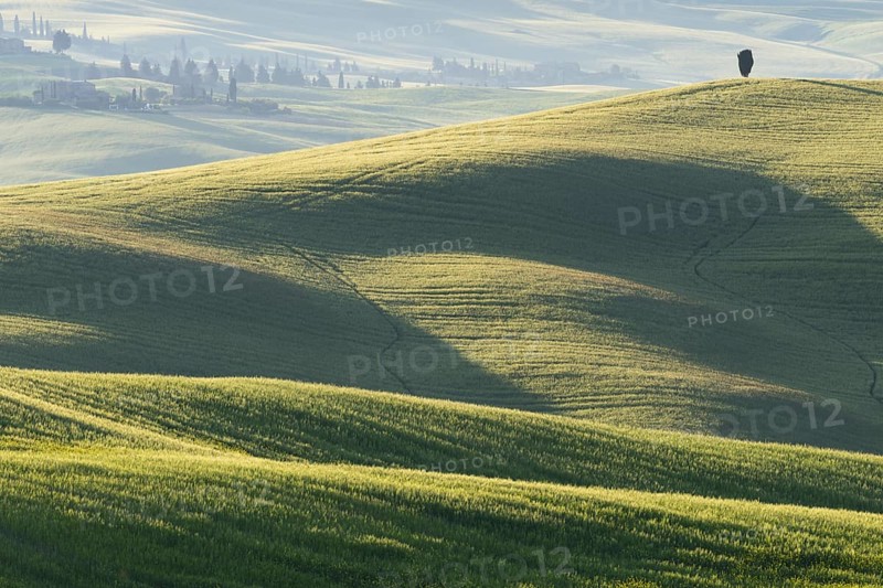 Landscape at sunrise around Pienza, Val d'Orcia, Orcia Valley, UNESCO World Heritage Site, Province of Siena, Tuscany, Italy, Europe