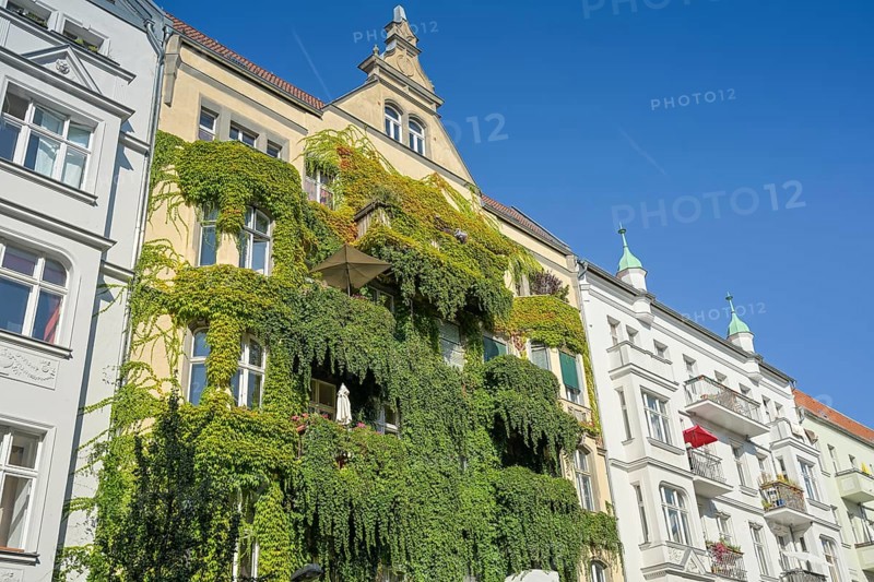 Façade greening, old building, Immanuelkirchstraße, Prenzlauer Berg, Pankow, Berlin, Germany, Europe