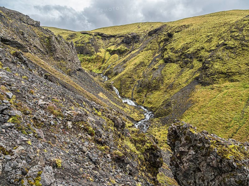 Small river flows in the moss-covered gorge Nauthusagil, Katla Geopark, Iceland, Europe
