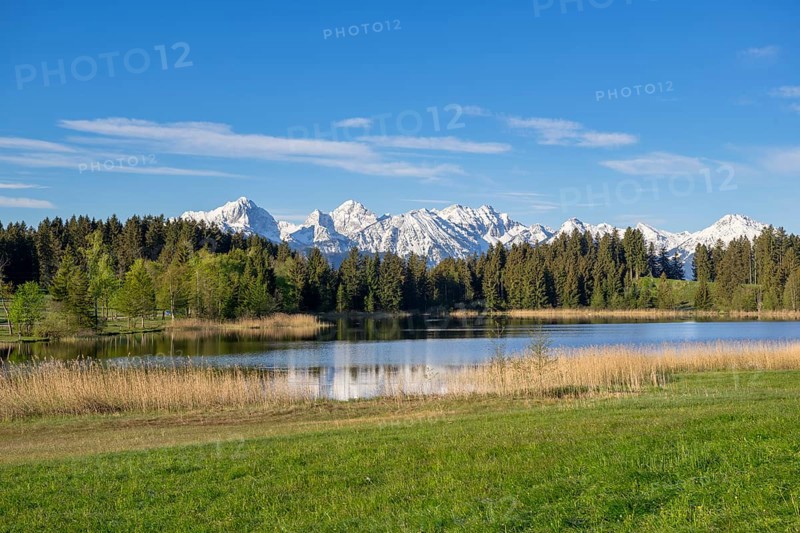 Hegratsrieder See near Füssen, Allgäu Alps, snow, Allgäu, Bavaria, Germany, Europe