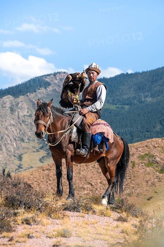 Traditional Kyrgyz eagle hunter with eagle in the mountains, hunting on horseback in front of dry landscape, near Kysyl-Suu, Issyk Kul, Kyrgyzstan, Asia