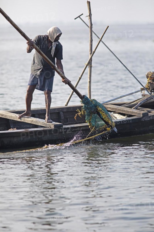 Mussel fisherman emptying his net on the Vembanad Lake, canal system of the backwaters, Kerala, India, Asia