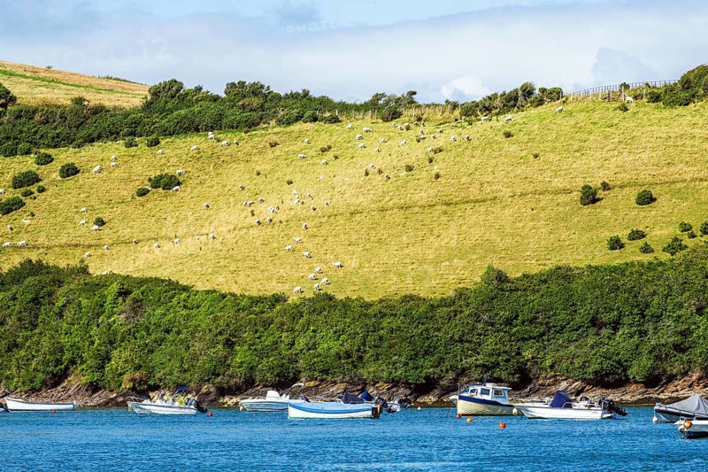 Boats and Yachts on Kingsbridge Estuary in Salcombe and Mill Bay, Batson Creek, Southpool Creek, Devon, England, United Kingdom, Europe