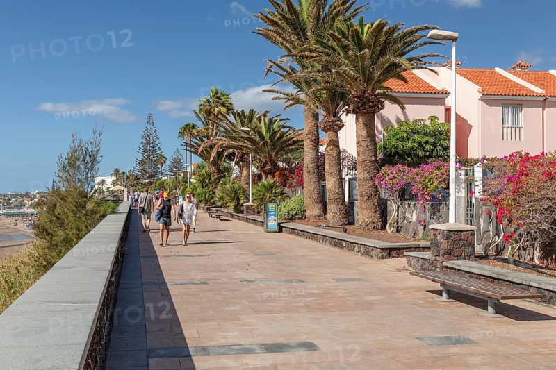 Promenade of Playa des Ingles, Gran Canaria, Canary Islands, Spain, Playa des Ingles, Gran Canaria, Canary Islands, Spain, Europe
