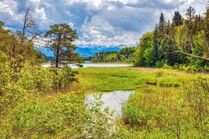 Lake surrounded by trees and mountains, with clouds in the sky and green landscape, Easter Lakes