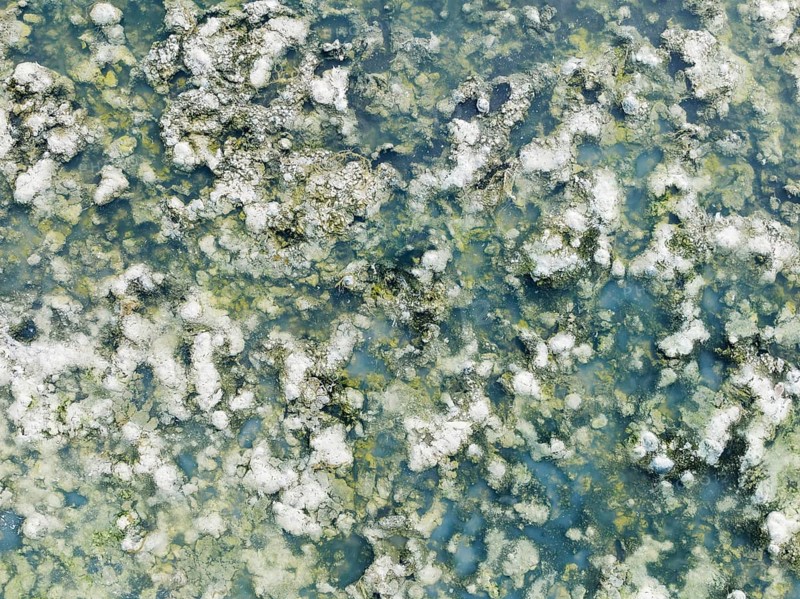 Detail of salt marshes near Sanlúcar de Barrameda. Aerial view. Drone shot. Cádiz province, Andalusia, Spain, Europe