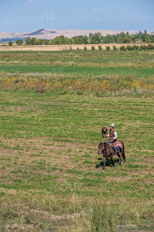 Traditional Kyrgyz eagle hunter, near Kysyl-Suu, Kyrgyzstan, Asia