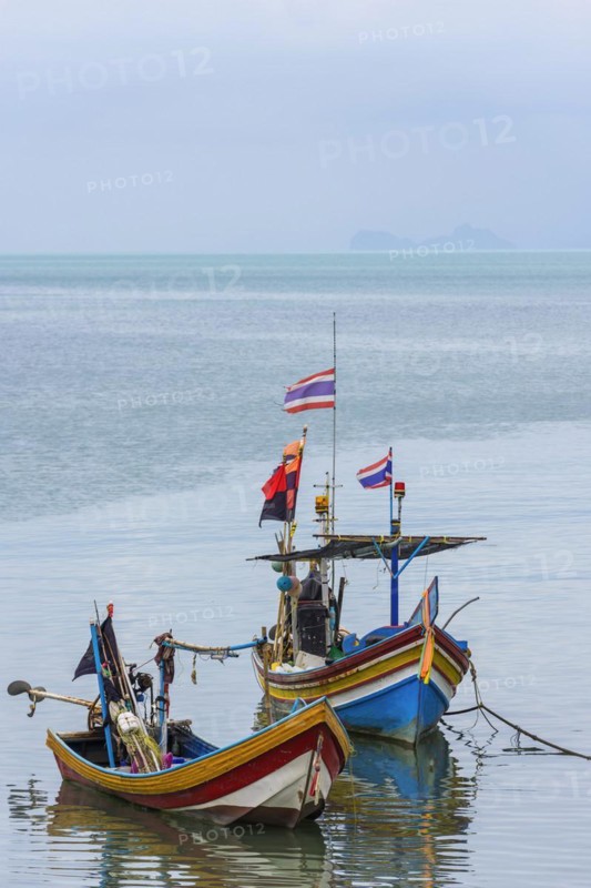 Colourful fishing boats, boat, ship, fishing boat, colourful, colourful, decorated, harbour, sea, seafaring, ocean, fisherman, work, tradition, wooden boat, fishing, fishing cutter, painted, profession, traditional, holiday, travel, tourism, fishing, Koh Samui, Thailand, Asia
