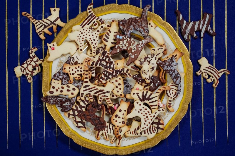 Swabian cuisine, Swabian Christmas biscuits, cookie cutters, shortbread biscuits, cat figures, painted with chocolate, typical Swabian, baking, Christmas bakery, sweet biscuits, Gutsle, Bredle, baked goods, from the oven, traditional cuisine, food photography, studio, Germany, Europe