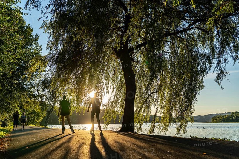 Inline skaters on Lake Baldeney, around 14 kilometres around the Ruhr reservoir, summer evening on the eastern shore, Essen, North Rhine-Westphalia, Germany, Europe