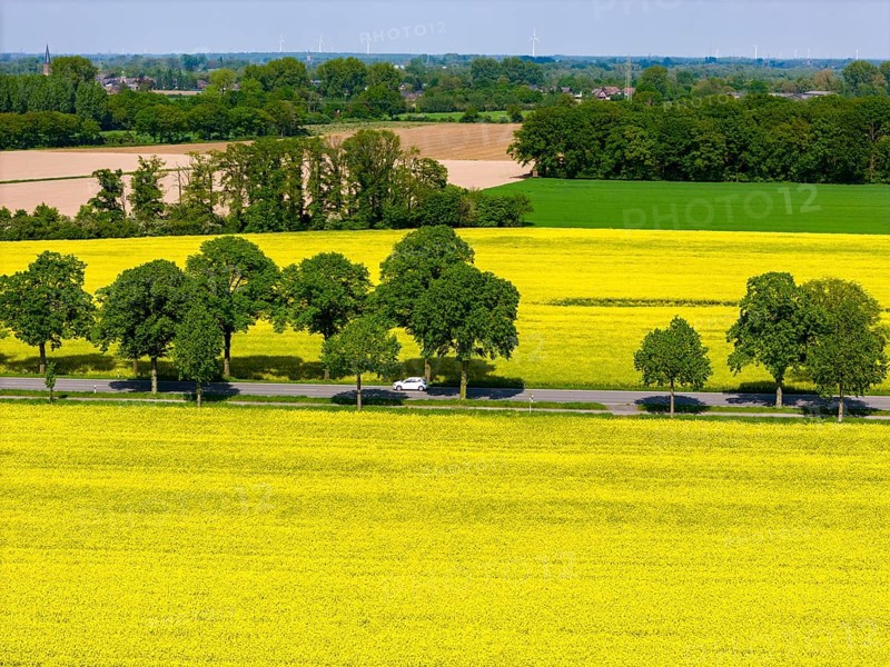 Landscape on the Lower Rhine, federal road B57, between Xanten and Kalkar, road traffic, North Rhine-Westphalia, Germany, Europe