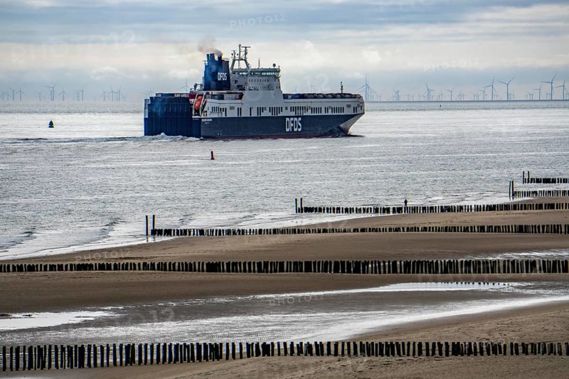The DFDS cargo ferry Begonia Seaways, loaded with lorry trailer and new cars, leaves the Westerschelde into the North Sea near Zoutelande Netherlands, on its way from Ghent in Belgium to Gothenburg, Sweden, breakwater on the beach, offshore wind farm in, Europe