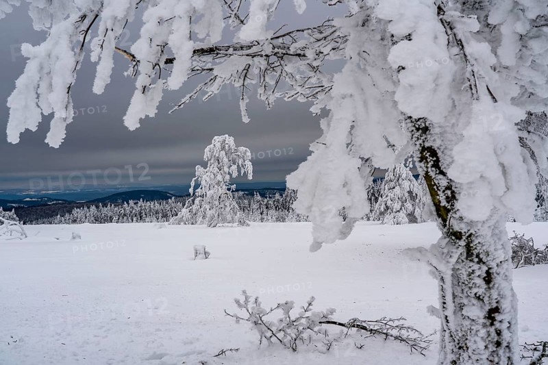Winter in Sauerland, Hochsauerlandkreis, at Kahler Asten, near Winterberg, few tourists, visitors, during the lockdown in January 2021, North Rhine-Westphalia, Germany, Europe