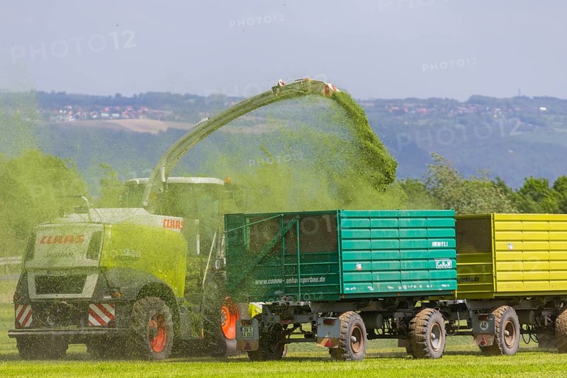 A Claas Jaguar 940 forage harvester at Grasmad in a field near Bannewitz, Bannewitz, Saxony, Germany, Europe