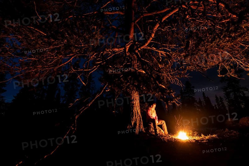 Man in the evening at a bivouac with campfire, Lapland, Sweden, Scandinavia, Europe