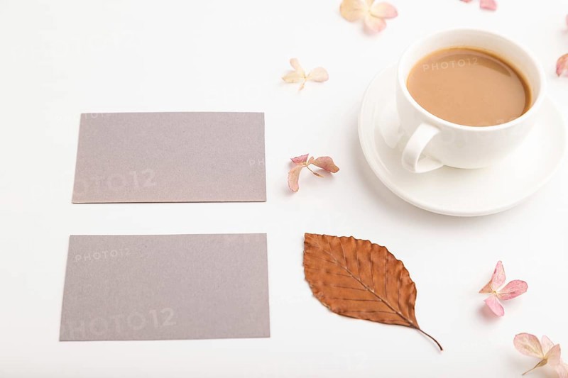 Composition with gray paper business card, brown beech autumn leaves, hydrangea flowers and cup of coffee. mockup on white background. Blank, side view, still life, copy space