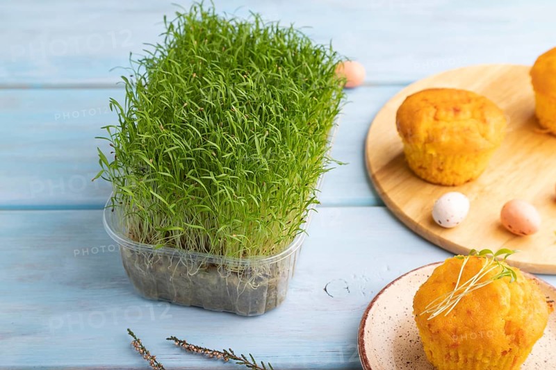 Homemade cakes with chocolate eggs and carrot microgreen on a blue wooden background. side view, close up
