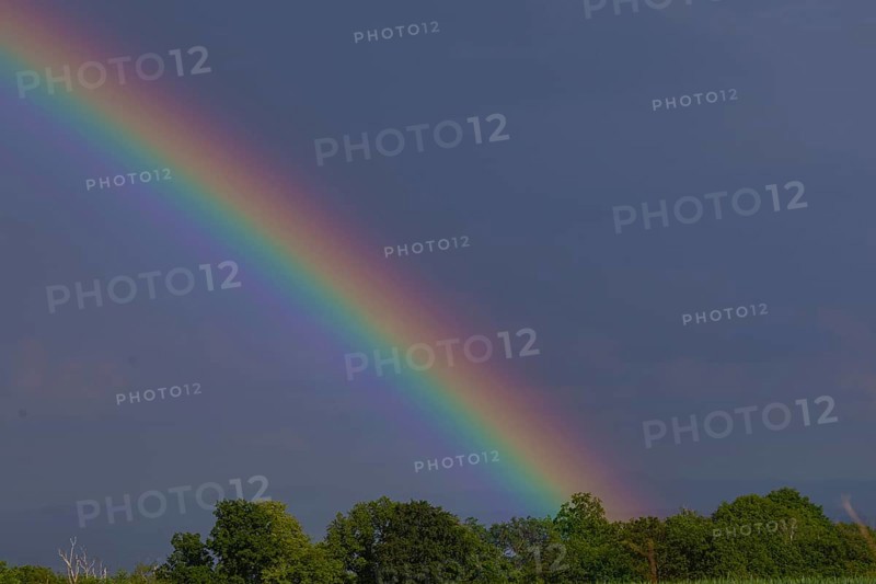 Storm on the Triebenberg near Dresden, Dresden, Saxony, Germany, Europe
